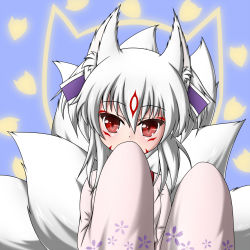 Rule 34 | 1girl, animal ears, covering own mouth, drawing on another&#039;s face, floral print, fox ears, fox tail, hair ornament, highres, japanese clothes, kimono, looking at viewer, multiple tails, ojou-sama pose, original, red eyes, simple background, tail, tzuzurao nya, white hair, wide sleeves