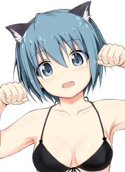 Rule 34 | 10s, 1girl, animal ears, bikini, blue eyes, blue hair, blush, breasts, cat ears, cleavage, collarbone, covered erect nipples, fang, front-tie top, inou eita, kemonomimi mode, looking at viewer, mahou shoujo madoka magica, mahou shoujo madoka magica (anime), matching hair/eyes, miki sayaka, open mouth, paw pose, short hair, simple background, solo, swimsuit, upper body, white background