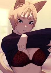Rule 34 | 1girl, animal ear fluff, animal ears, black eyes, blonde hair, bra, breasts, cat ears, cat tail, clothes lift, commentary, lifting own clothes, long sleeves, looking at viewer, medium breasts, original, parted lips, razalor, red bra, shirt lift, short hair, solo, tail, thick eyebrows, turtleneck, underwear, upper body