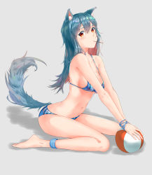 Rule 34 | 1girl, absurdres, animal ear fluff, animal ears, anklet, arknights, ball, bare arms, bare legs, bare shoulders, barefoot, beachball, bikini, blue bikini, blue hair, breasts, food, food in mouth, grey background, hair between eyes, head tilt, highres, jewelry, long hair, looking at viewer, lord boros (bouluosi), medium breasts, mouth hold, navel, pocky, red eyes, shadow, simple background, sitting, solo, stomach, striped bikini, striped clothes, swimsuit, tail, texas (arknights), thighs, vertical-striped bikini, vertical-striped clothes, wariza, wolf ears, wolf tail