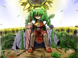 Rule 34 | 1girl, ascot, black pantyhose, bloodycat, flower, green hair, grin, holding, kazami yuuka, looking at viewer, mary janes, outdoors, pantyhose, plaid, plaid skirt, plaid vest, plant, red eyes, shirt, shoes, short hair, sitting, skirt, sky, smile, solo, sunflower, throne, touhou, umbrella, vest, vines, wind