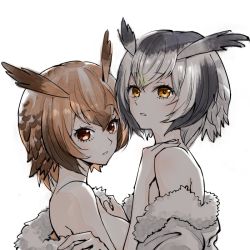 Rule 34 | 10s, 2girls, black hair, breasts, brown eyes, brown hair, clothes pull, coat, commentary request, eurasian eagle owl (kemono friends), fur-trimmed coat, fur trim, head wings, inumoto, jacket, jacket pull, kemono friends, looking at viewer, medium breasts, multicolored hair, multiple girls, northern white-faced owl (kemono friends), off shoulder, parted lips, short hair, sideboob, silver hair, simple background, undressing, upper body, white background, white coat, wings, yuri