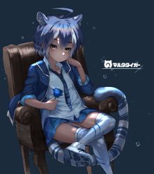 Rule 34 | 10s, 1girl, ahoge, animal ears, arm rest, armchair, blue background, blue flower, blue hair, blue rose, blush, breast pocket, chair, character name, collarbone, collared shirt, crossed legs, eyebrows, flower, garter straps, hair between eyes, hand on own cheek, hand on own face, hand up, head rest, highres, holding, holding flower, jacket, kemono friends, light smile, looking at viewer, maltese tiger (kemono friends), multicolored hair, necktie, open clothes, open jacket, paw print, pocket, rose, shirt, short hair, simple background, sitting, skirt, sleeves rolled up, solo, sparkle, striped tail, tail, thighhighs, tiger ears, tiger tail, unizou, white hair, yellow eyes, zettai ryouiki