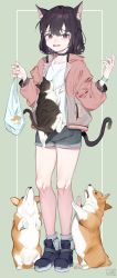 Rule 34 | 1girl, absurdres, animal ear fluff, animal ears, bag, black hair, cat, cat ears, cat girl, cat tail, choker, collarbone, dog, fang, full body, garin, highres, jacket, long sleeves, looking at viewer, open clothes, open jacket, original, shirt, short shorts, shorts, simple background, standing, tail, tearing up, white shirt
