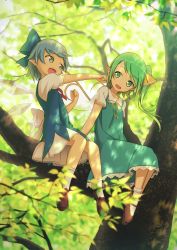 Rule 34 | 2girls, blue dress, blue eyes, blue hair, cirno, daiyousei, dress, fairy wings, full body, green eyes, green hair, hair ribbon, highres, ice, ice wings, in tree, irigoma (jikabi baisen), looking at another, looking away, mary janes, multiple girls, open mouth, outstretched arm, pointy ears, ribbon, shoes, short sleeves, side ponytail, sitting, smile, socks, touhou, tree, tree shade, white legwear, wings
