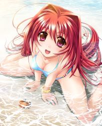 Rule 34 | 1girl, :d, absurdres, ahoge, artist request, bare legs, bare shoulders, bikini, blue bikini, bracelet, breasts, buoyant hair, cleavage, collarbone, crab, from above, hair intakes, highres, huge filesize, jewelry, kagami sumika, long hair, looking at viewer, muv-luv, official art, open mouth, partially submerged, purple eyes, red hair, sitting, smile, solo, swimsuit, very long hair, wariza, water