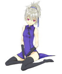Rule 34 | 00s, 1girl, china dress, chinese clothes, darker than black, dress, duplicate, flat chest, gloves, no panties, purple dress, purple eyes, silver hair, solo, thighhighs, u (the unko), yin (darker than black)