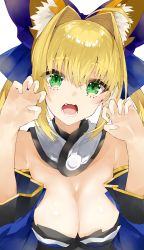 Rule 34 | 10s, 1girl, absurdres, ahoge, animal ears, bare shoulders, blonde hair, bow, breasts, claw pose, cleavage, cosplay, detached collar, fang, fate/extra, fate (series), fox ears, green eyes, hair bow, hair intakes, highres, japanese clothes, kou mashiro, large breasts, looking at viewer, nero claudius (fate), nero claudius (fate) (all), nero claudius (fate/extra), open mouth, solo, tamamo (fate), tamamo no mae (fate/extra), tamamo no mae (fate/extra) (cosplay), white background