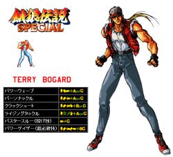 Rule 34 | baseball cap, command list, denim, fatal fury, fatal fury special, fingerless gloves, game, gloves, hat, jacket, jeans, muscular, neo geo, pants, ponytail, snk, tan, terry bogard
