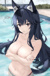 1girl animal_ears arknights bare_shoulders bikini black_hair breasts brown_eyes cleavage closed_mouth collarbone commentary crossed_arms english_commentary feet_out_of_frame highres invisibless long_hair looking_at_viewer medium_breasts nail_polish navel pool red_nails sidelocks solo standing swimsuit texas_(arknights) water wet