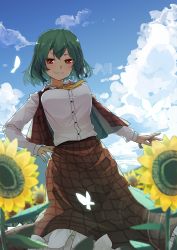 Rule 34 | 1girl, ascot, blouse, breasts, bug, butterfly, cloud, collared shirt, commentary request, cumulonimbus cloud, day, field, flower, flower field, frilled skirt, frills, from below, futatsuki eru, garden of the sun, green hair, hair between eyes, highres, insect, kazami yuuka, large breasts, leaf, long skirt, long sleeves, open clothes, open vest, outdoors, plaid, plaid skirt, plaid vest, red eyes, red skirt, red vest, shirt, short hair, single bang, skirt, skirt set, sky, smile, solo, sunflower, sunflower field, sweat, teeth, touhou, vest, wavy hair, white shirt, yellow ascot
