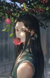 Rule 34 | 1boy, bare shoulders, black hair, blurry, day, depth of field, flower, flower request, from side, highres, hunter x hunter, illumi zoldyck, jnkku, long hair, looking at viewer, male focus, mouth hold, outdoors, pink flower, red flower, red rose, rose, shirt, solo, upper body