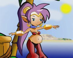 Rule 34 | 1girl, animated, animated gif, belly, lowres, ponytail, pregnant, shantae, shantae (series), solo