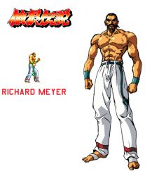 Rule 34 | beard, facial hair, fatal fury, game, male focus, muscular, mustache, neo geo, richard meyer, topless male, snk, the king of fighters