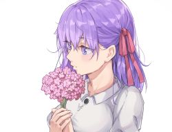 Rule 34 | 1girl, blue eyes, bouquet, cchhii3, collarbone, collared shirt, fate/stay night, fate (series), flower, hair between eyes, hair ribbon, holding, holding bouquet, long hair, matou sakura, official alternate costume, pink flower, portrait, profile, purple hair, red ribbon, ribbon, shirt, simple background, solo, white background, white shirt, wing collar