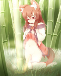 Rule 34 | 1girl, akatsuki no guuru, animal ears, bad id, bad pixiv id, bamboo, bamboo forest, bare shoulders, barefoot, belly, brooch, brown eyes, brown hair, cleft of venus, clothes lift, forest, highres, imaizumi kagerou, jewelry, kneeling, long sleeves, nature, navel, off shoulder, one eye closed, panties, panty pull, pee, peeing, pussy, shirt, skirt, skirt lift, solo, tail, touhou, uncensored, underwear, werewolf, wide sleeves, wolf ears, wolf tail