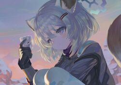 Rule 34 | 1girl, animal ear fluff, animal ears, black gloves, blue archive, blush, closed mouth, commentary request, dokomon, feet out of frame, gloves, grey hair, grey jacket, hair between eyes, hair ornament, hairclip, halo, hand up, highres, holding, jacket, knees up, korean commentary, looking away, outdoors, pantyhose, purple eyes, shigure (blue archive), sky, solo, squatting, tail, white pantyhose