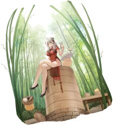 Rule 34 | 1girl, animal, artist request, azur lane, bamboo, bamboo forest, bamboo steamer, bird, breasts, brown eyes, bun cover, china dress, chinese clothes, chopsticks, crossed legs, day, double bun, dress, dumpling, food, forest, full body, hair bun, highres, holding, holding chopsticks, jiaozi, large breasts, long hair, looking at viewer, luetzow (azur lane), luetzow (steaming hot treat) (azur lane), manjuu (azur lane), nature, no panties, official art, outdoors, red dress, shoes, short sleeves, simple background, sitting, white hair