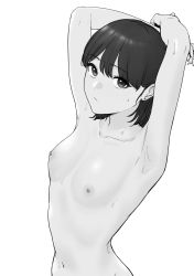 Rule 34 | 1girl, absurdres, armpits, arms up, blush, breasts, commentary request, ear piercing, greyscale, highres, looking at viewer, monochrome, nipples, nose blush, nude, original, piercing, short hair, simple background, small breasts, solo, sweat, tantanmen72, upper body