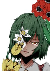 Rule 34 | 1girl, absurdres, anemone (flower), commentary request, flower, green hair, highres, kazami yuuka, looking at viewer, open mouth, portrait, potato pot, red eyes, simple background, solo, touhou, tulip, white background