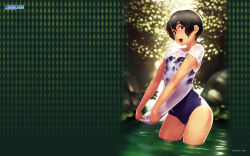 Rule 34 | 1girl, :d, artist name, black hair, blue one-piece swimsuit, breasts, competition school swimsuit, copyright name, day, game-style, hair between eyes, highres, looking at viewer, one-piece swimsuit, oohara kyuutarou, open mouth, outdoors, pond, red eyes, school swimsuit, see-through, shirt, short hair, short sleeves, small breasts, smile, solo, swimsuit, thighs, wading, wallpaper, water, watermark, wet, wet clothes, wet shirt