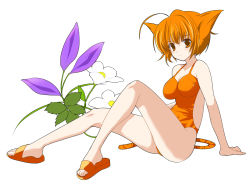 Rule 34 | 1girl, ahoge, animal ears, arm support, breasts, casual one-piece swimsuit, cat ears, cat tail, clog sandals, clogs, floral background, flower, full body, large breasts, one-piece swimsuit, orange eyes, orange hair, orange one-piece swimsuit, sandals, shijou sadafumi, short hair, simple background, sitting, solo, swimsuit, tail, white background