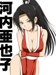Rule 34 | 1girl, blush, breast hold, breasts, cleavage, cosplay, fatal fury, green eyes, hyouka, kouchi ayako, long hair, looking at viewer, niwatori kokezou, pelvic curtain, ponytail, shiranui mai, shiranui mai (cosplay), simple background, smile, snk, solo, the king of fighters, white background