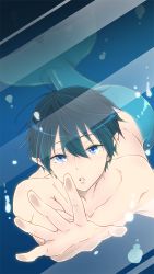 Rule 34 | 10s, 1boy, black hair, blue eyes, bubble, fins, fish tail, free!, glass, gradient background, hato yu-ki, looking at viewer, male focus, merman, monster boy, nanase haruka (free!), parted lips, solo, tail, underwater