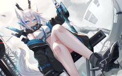 Rule 34 | 1girl, absurdres, animal ears, bare legs, bare shoulders, belt, black footwear, black jacket, blue eyes, breasts, closed mouth, crop top, crossed legs, dutch angle, expressionless, fox ears, fox girl, fox tail, high heels, highres, holding, holding sword, holding weapon, jacket, long hair, long sleeves, looking at viewer, mechanical ears, medium breasts, midriff, mirufuaa, multicolored hair, off shoulder, open clothes, open jacket, original, satellite dish, scarf, shirt, shoes, sitting, sleeveless, sleeveless shirt, solo, streaked hair, sword, tail, thighs, weapon, weapon on back, white hair, white shirt