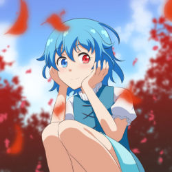 Rule 34 | 1girl, autumn leaves, blue eyes, blue hair, blue sky, cato (monocatienus), commentary, day, hair between eyes, hands on own cheeks, hands on own face, heterochromia, leaf, looking at viewer, outdoors, puffy short sleeves, puffy sleeves, red eyes, short hair, short sleeves, sky, smile, solo, squatting, tatara kogasa, touhou