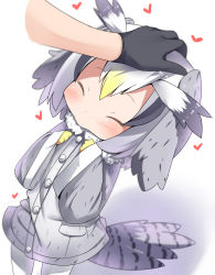 Rule 34 | 10s, 1girl, aged down, bird tail, black gloves, blush, buttons, closed eyes, coat, gloves, grey hair, head wings, headpat, heart, kaban (kemono friends), kemono friends, makuran, multicolored hair, northern white-faced owl (kemono friends), out of frame, pantyhose, short hair, simple background, solo, solo focus, tail, white background, white pantyhose, wide sleeves, wings