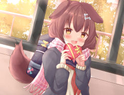 Rule 34 | 1girl, absurdres, alternate costume, animal ears, bag, blue coat, blue sailor collar, blush, bone hair ornament, bow, box, brown eyes, brown hair, coat, commentary request, dog ears, dog girl, dog tail, dutch angle, ears down, enpera, gift, gift box, hair ornament, heart-shaped box, highres, holding, holding gift, hololive, indoors, inugami korone, kanti15, looking at viewer, neckerchief, open clothes, open coat, open mouth, partial commentary, pink scarf, red neckerchief, sailor collar, scarf, school bag, school uniform, short hair, solo, standing, sweater, tail, teeth, tree, uniform, upper body, upper teeth only, valentine, virtual youtuber, window, yellow bow