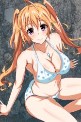 Rule 34 | 10s, 1girl, ahoge, bikini, blonde hair, blush, breasts, cleavage, cross, hassen (8cm), high school dxd, high school dxd new, highres, jewelry, long hair, looking at viewer, pendant, purple eyes, shidou irina, sitting, smile, solo, swimsuit, tranquilizer (bestcenter), twintails