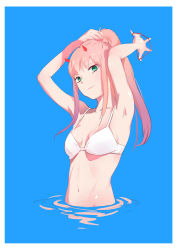 Rule 34 | 10s, 1girl, absurdres, armpits, arms up, bad id, bad pixiv id, bikini, bikini top only, blue background, breasts, cleavage, collarbone, darling in the franxx, green eyes, high ponytail, highres, horns, long hair, navel, pink hair, shiny skin, sideboob, small breasts, solo, swimsuit, tying hair, umumu, upper body, very long hair, white bikini, zero two (darling in the franxx)