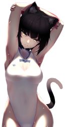 Rule 34 | 1girl, animal ears, armpits, arms behind head, arms up, black hair, bob cut, breasts, cat ears, cat tail, cleavage cutout, closed mouth, clothing cutout, commentary request, cowboy shot, dev (dev0614), expressionless, head tilt, heart cutout, highleg, highres, looking at viewer, medium breasts, one-piece swimsuit, original, simple background, solo, standing, stretching, swimsuit, tail, wet, white background, white one-piece swimsuit, yellow eyes