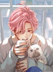 Rule 34 | 1boy, coffee cup, commentary request, cup, disposable cup, fingernails, highres, katori (koori zokusei danshi), koori zokusei danshi to cool na douryou joshi, long sleeves, looking at viewer, male focus, official art, open mouth, pink eyes, pink hair, pug, short hair, solo, sweater, teeth, tonogaya