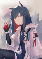 Rule 34 | 1girl, animal ears, arknights, artist name, bad id, bad pixiv id, black hair, black pantyhose, black shirt, blue vest, cigarette, expressionless, fur collar, gloves, highres, jacket, jewelry, long hair, long sleeves, looking at viewer, luxempty, multicolored hair, necklace, official alternate costume, orange eyes, pantyhose, red gloves, red hair, shirt, shoulder strap, signature, simple background, sitting, smoking, solo, straight hair, texas (arknights), texas (winter messenger) (arknights), turtleneck, two-tone hair, vest, white background, white jacket, wolf ears, wristband