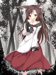 Rule 34 | 1girl, animal ears, bamboo, bamboo forest, blush, brooch, brown hair, collarbone, finger in own mouth, fingernails, forest, fur, gorilla (bun0615), highres, imaizumi kagerou, jewelry, long fingernails, long hair, long sleeves, looking at viewer, nail polish, nature, red eyes, red nails, shirt, skirt, tail, touhou, very long hair, wide sleeves, wolf ears, wolf tail
