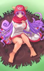 Rule 34 | 1girl, animal ears, barefoot, blush, breasts, closed mouth, commentary request, curly hair, dog ears, dragon quest, dragon quest ii, dress, eyes visible through hair, full body, grass, hair between eyes, hood, hood up, large breasts, long hair, looking at viewer, partially submerged, princess of moonbrook, purple hair, red hood, sakakura (sariri), solo, water, wet, wet clothes, wet dress, white dress