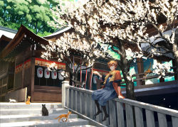 Rule 34 | 1boy, animal, animal ears, architecture, arm at side, arm support, bad id, bad pixiv id, bell, black cat, black footwear, black hair, boots, calico, cat, cat ears, closed mouth, dappled sunlight, day, east asian architecture, flower, japanese clothes, jingle bell, jumping, lantern, layered sleeves, long sleeves, looking at viewer, male focus, multicolored hair, on railing, orange hair, original, outdoors, outstretched arm, paper lantern, paw print, petals, pom pom (clothes), railing, ribbon, short over long sleeves, short sleeves, shrine, sitting, sleeves pushed up, smile, spring (season), stairs, streaked hair, sunlight, temple, toichi (ik07), tree, tree shade, walking, white flower, white hair
