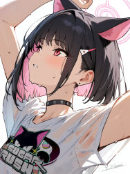 Rule 34 | 1girl, animal ears, arms up, black choker, black hair, blue archive, cat ears, choker, clothes writing, colored inner animal ears, colored inner hair, ear piercing, extra ears, eyelashes, hair behind ear, hair ornament, hairclip, halo, highres, kazusa (band) (blue archive), kazusa (blue archive), light blush, looking up, multicolored hair, official alternate costume, parted lips, piercing, pink hair, pink halo, print shirt, red eyes, see-through, see-through shirt, shirt, short hair, short sleeves, sidelocks, signature, simple background, solo, sweat, two-tone hair, upper body, white background, white shirt, yuusha menma