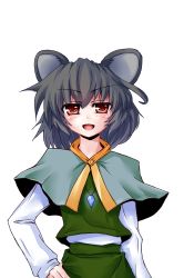 Rule 34 | 1girl, animal ears, bad id, bad pixiv id, female focus, grey hair, mouse ears, nazrin, red eyes, simple background, solo, touhou, white background, yanagi ryou