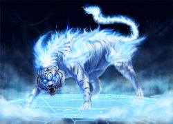 Rule 34 | blue fire, cat, fire, glowing, glowing eyes, highres, magic circle, no humans, original, tiger, ytishie