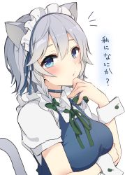 Rule 34 | 1girl, animal ears, blue choker, blue eyes, blue ribbon, blush, bow, braid, breast hold, breasts, cat ears, cat tail, choker, commentary request, finger to own chin, green bow, hair between eyes, hair bow, hair ribbon, hand up, highres, izayoi sakuya, karasusou nano, kemonomimi mode, looking at viewer, maid, maid headdress, medium breasts, puffy short sleeves, puffy sleeves, ribbon, short hair, short sleeves, silver hair, simple background, solo, tail, touhou, translated, twin braids, upper body, white background, wing collar, wrist cuffs