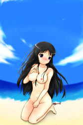 Rule 34 | akiyama mio, beach, black hair, blush, highres, k-on!, long hair, nude