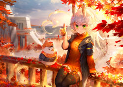 Rule 34 | 1girl, absurdres, animal, animal ears, arm support, autumn leaves, azur lane, bird, black jacket, black thighhighs, blue sky, blurry, blurry foreground, blush, breasts, bubble tea, building, cabbie hat, closed mouth, clothed animal, cloud, commentary request, cup, day, depth of field, disposable cup, drawstring, drinking straw, green eyes, hat, highres, holding, holding cup, huge filesize, jacket, janyhero, kitakaze (azur lane), layered sleeves, leaf, long hair, long sleeves, looking at viewer, maple leaf, on railing, open clothes, open jacket, orange hat, orange sweater, outdoors, railing, ribbed sweater, short over long sleeves, short sleeves, silver hair, sitting, sky, small breasts, smile, solo, sweater, thighhighs, turtleneck, turtleneck sweater