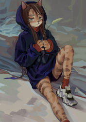 Rule 34 | 1girl, animal ears, artist name, brown hair, cat ears, cattail, expressionless, female focus, fkey, furry, furry female, green eyes, hood, hoodie, original, outdoors, plant, shoes, short shorts, shorts, sitting, sneakers, solo, sweater, whiskers