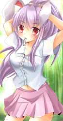 Rule 34 | 1girl, absurdres, animal ears, arms behind head, bamboo, bamboo forest, blush, breasts, rabbit ears, contrapposto, cowboy shot, forest, hair tie, hands in hair, highres, lavender skirt, light purple hair, long hair, looking at viewer, medium breasts, midriff peek, miniskirt, mouth hold, nature, navel, ncatabc, outdoors, pleated skirt, red eyes, reisen udongein inaba, shirt, short sleeves, skirt, smile, solo, standing, touhou, tying hair, white shirt