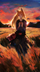 Rule 34 | 1girl, absurdres, animal ears, apple, blush, food, fruit, heoningu, highres, holo, long hair, looking at viewer, orange hair, red eyes, smile, solo, spice and wolf, sunset, wheat, wheat field, wolf ears