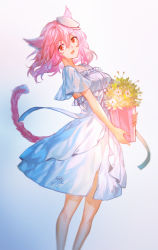 Rule 34 | 1girl, animal ears, warrior of light (ff14), blurry, carrying, cat ears, cat tail, dress, final fantasy, final fantasy xiv, flower, hat, highres, looking at viewer, looking to the side, miqo&#039;te, pink hair, simple background, smile, solo, tail, vase, vetina, white background, white dress, wind